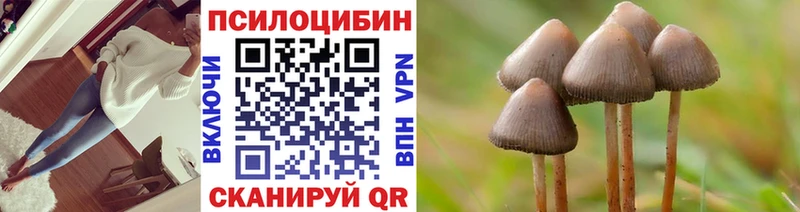 Псилоцибиновые грибы Psilocybe Кореновск